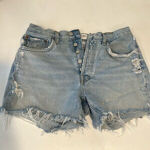 Agolde Parker Long Loose Vintage Size 27. Color Parade.